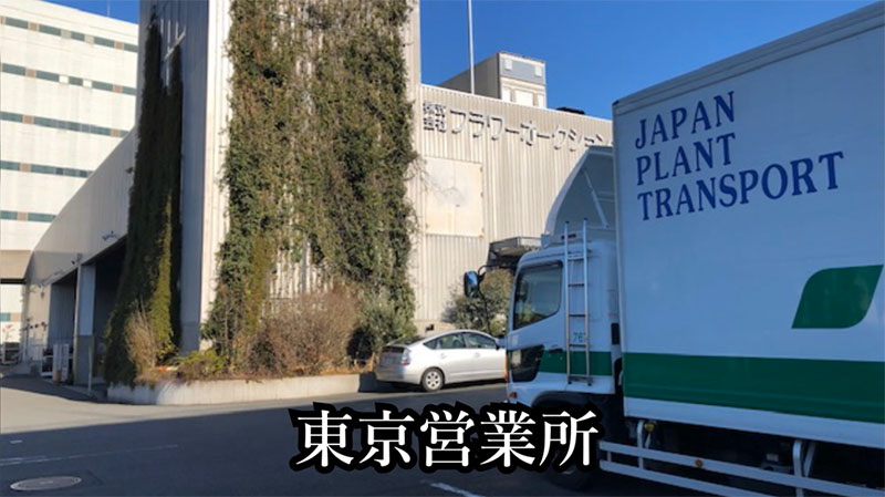 日本植物運輸株式会社 東京営業所